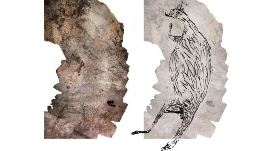 अस्ट्रेलियामा कङ्गारूको १७ हजार ३ सय वर्ष पुरानो चित्रकला फेला
