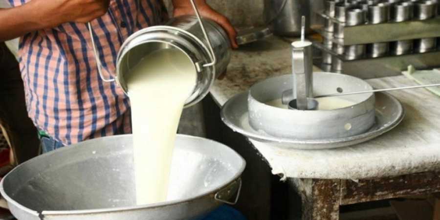 ७ महिनादेखि दूधको भुक्तानी नपाएपछि चितवनका किसानलाई गाईभैँसी पाल्न कठिन