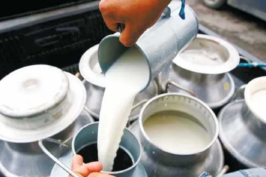 गल्याङबाट ४ लाख लिटर दूध निर्यात, प्रतिलिटर १५ रुपैयाँ अनुदान पाएपछि किसान दूध उत्पादनतर्फ आकर्षित