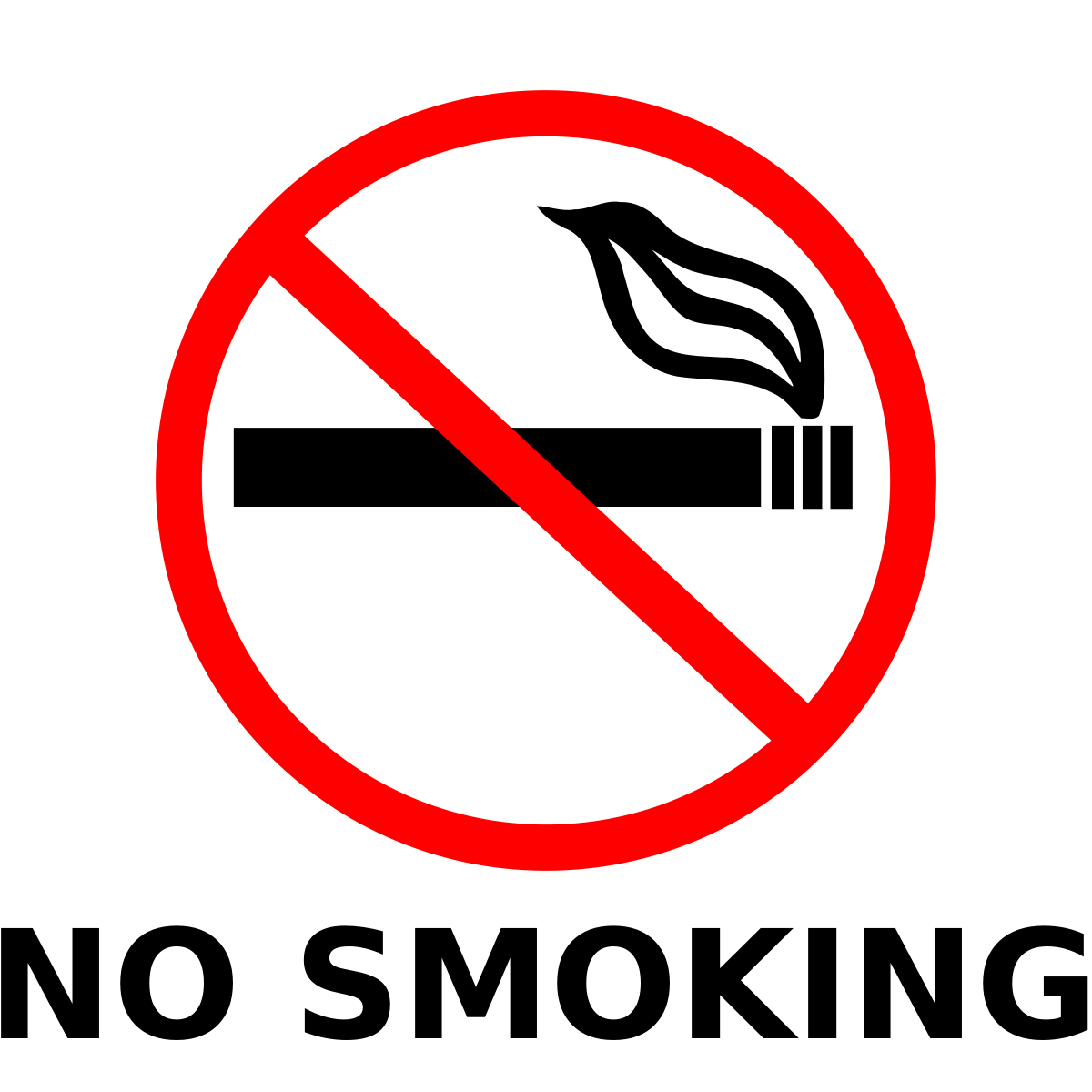 बालेनको अर्को एक्सन-काठमाडौंमा असोज १ गतेदेखी सार्वजनिक स्थलमा धूम्रपान निषेध